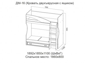 ДМ-16 Кровать двухъярусная с ящиком в Режи - rezh.магазин96.com | фото