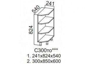 С300то Стол-рабочий 300 (торцевой открытый) в Режи - rezh.магазин96.com | фото