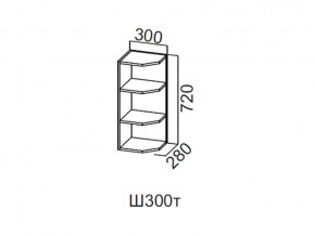 Ш300т/720 Шкаф навесной 300/720 (торцевой) в Режи - rezh.магазин96.com | фото