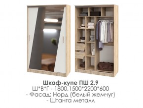 шкаф-купе ПШ-2.9 1500 Норд Белый жемчуг 1500 в Режи - rezh.магазин96.com | фото