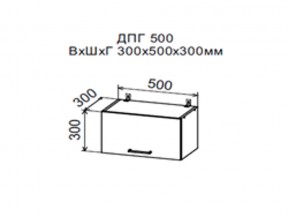 Шкаф верхний ДПГ500 горизонтальный в Режи - rezh.магазин96.com | фото