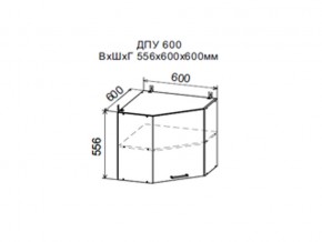 Шкаф верхний ДПУ600 угловой в Режи - rezh.магазин96.com | фото